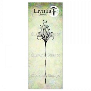 Lavinia fleur divine 2