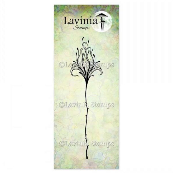 Lavinia fleur divine 2