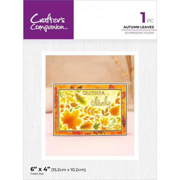 Crafter's Companion 3D Embossing Folder 6"X4"